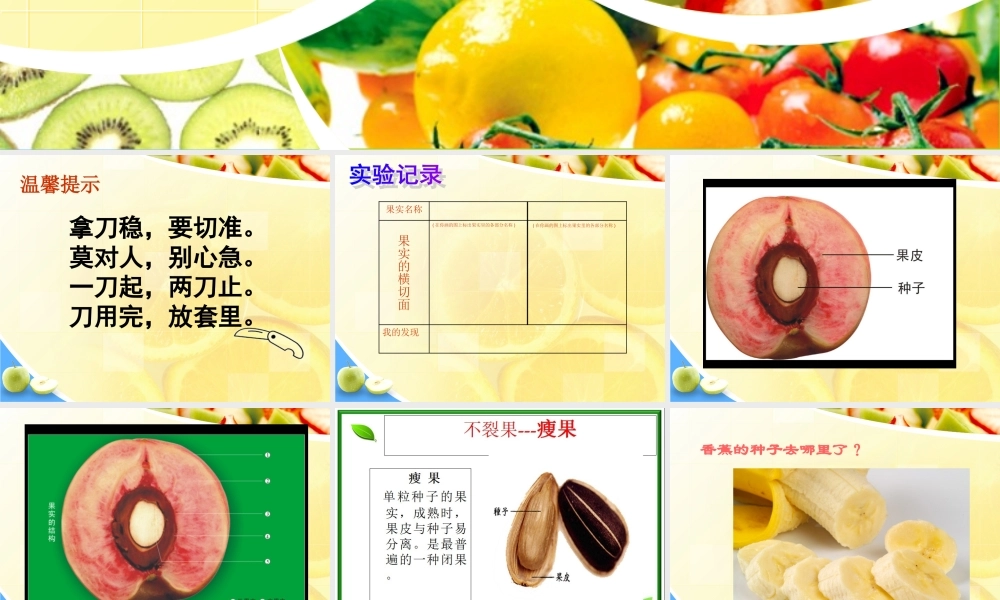 2015粤教版五年级科学上册《果实里的新生命》课件【虚拟宝库网www.xunibaoku.com】.ppt