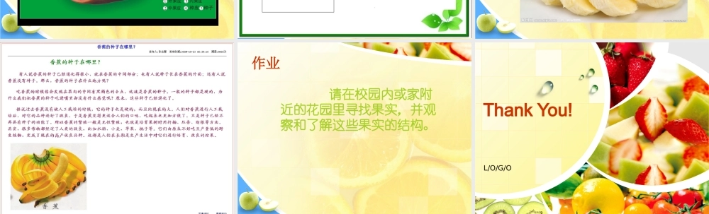 2015粤教版五年级科学上册《果实里的新生命》课件【虚拟宝库网www.xunibaoku.com】.ppt