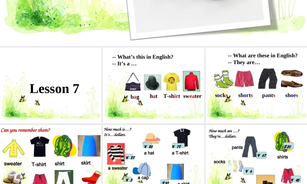 Unit 2 Can I help you Lesson 11--询问物品价格.ppt