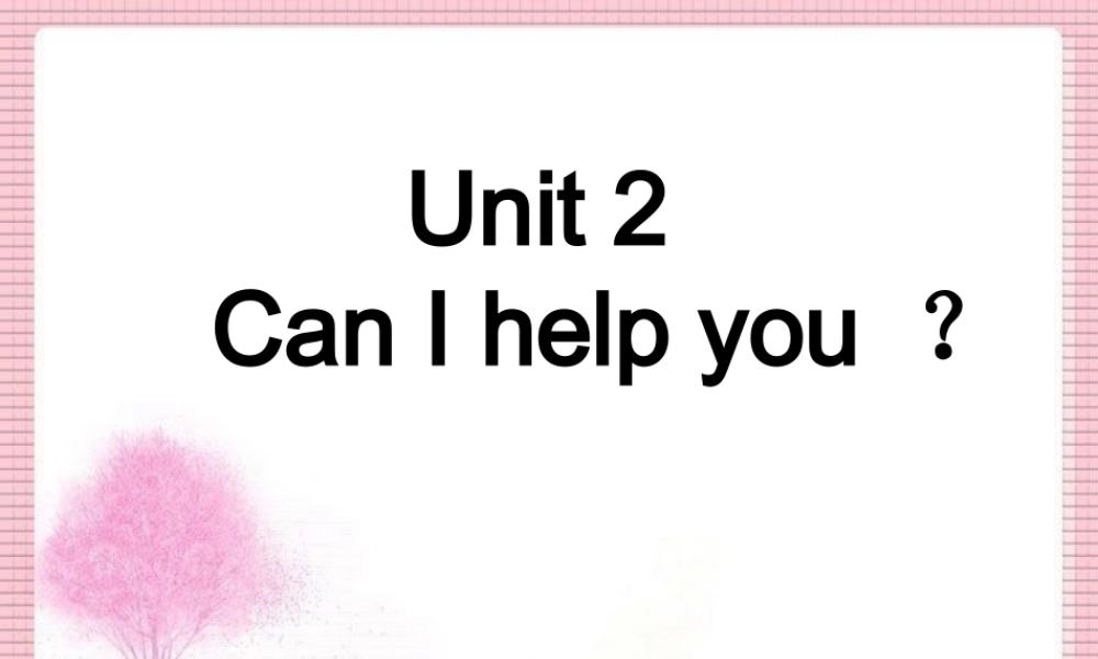 Unit 2 Can I help you Lesson 12--单词句型操练.ppt