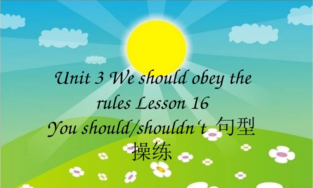 Unit 3 We should obey the rules Lesson 16--You should shouldn't 句型操练.ppt