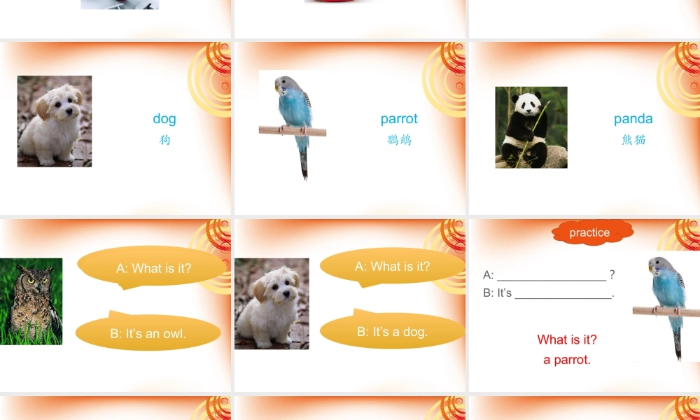 Unit 5 It%27s a parrot Lesson 27 课件2.ppt