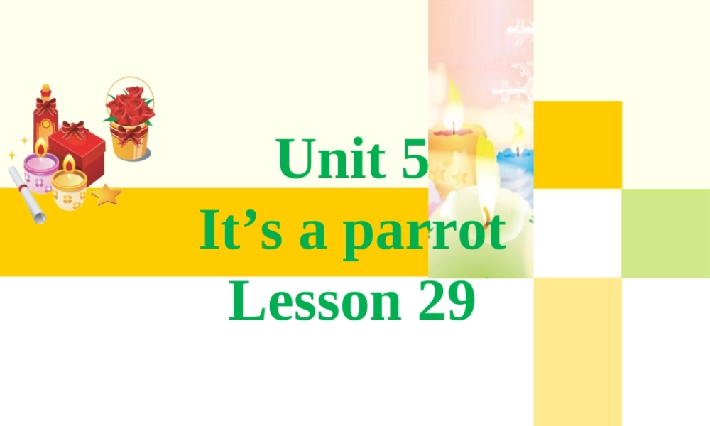 Unit 5 It%27s a parrot Lesson 29 课件2.ppt