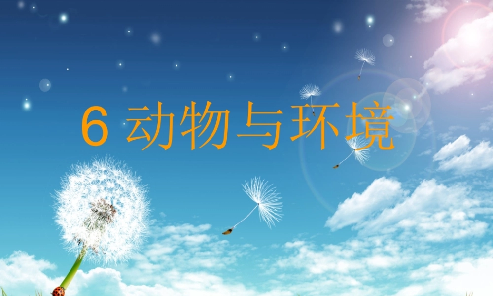 六年级科学动物与环境(粤教版)【虚拟宝库网www.xunibaoku.com】.ppt