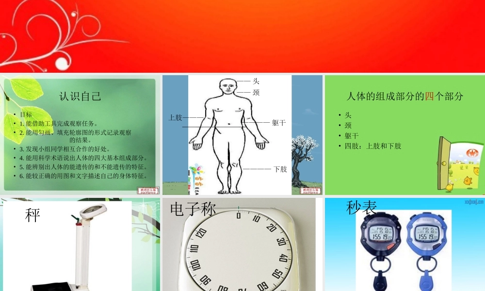 冀教小学科学三上册《2认识自己》PPT课件.ppt