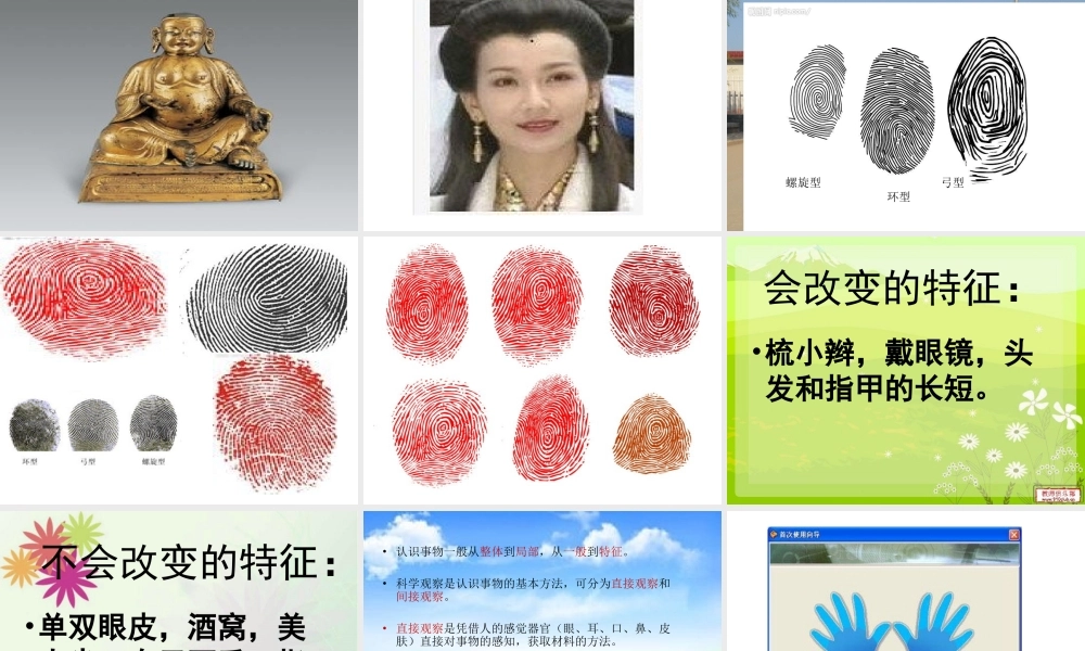 冀教小学科学三上册《2认识自己》PPT课件.ppt