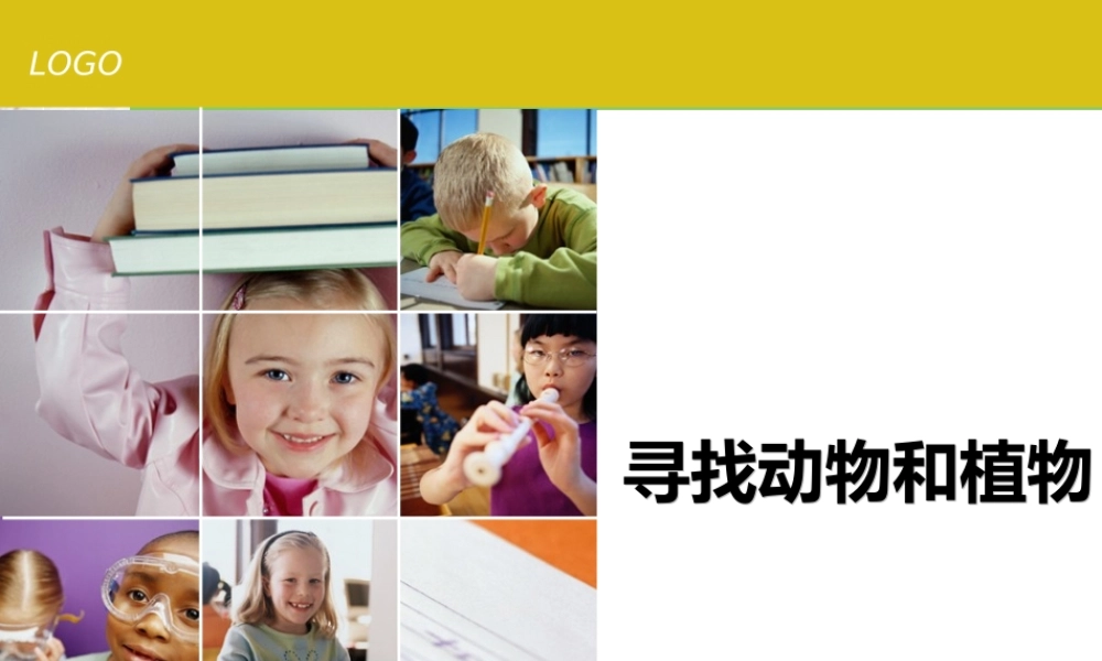 冀教小学科学三上册《3寻找动物和植物》PPT课件.ppt