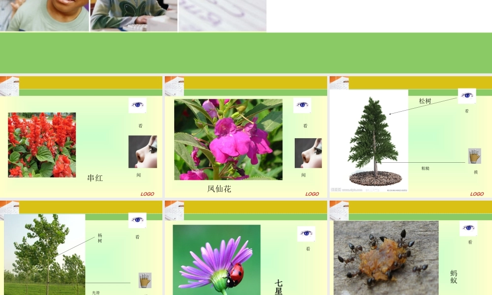 冀教小学科学三上册《3寻找动物和植物》PPT课件.ppt