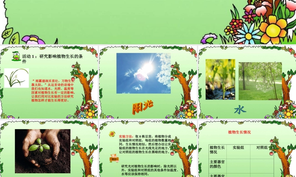 冀教小学科学五上册《3怎样使植物长得更好 》PPT课件.ppt