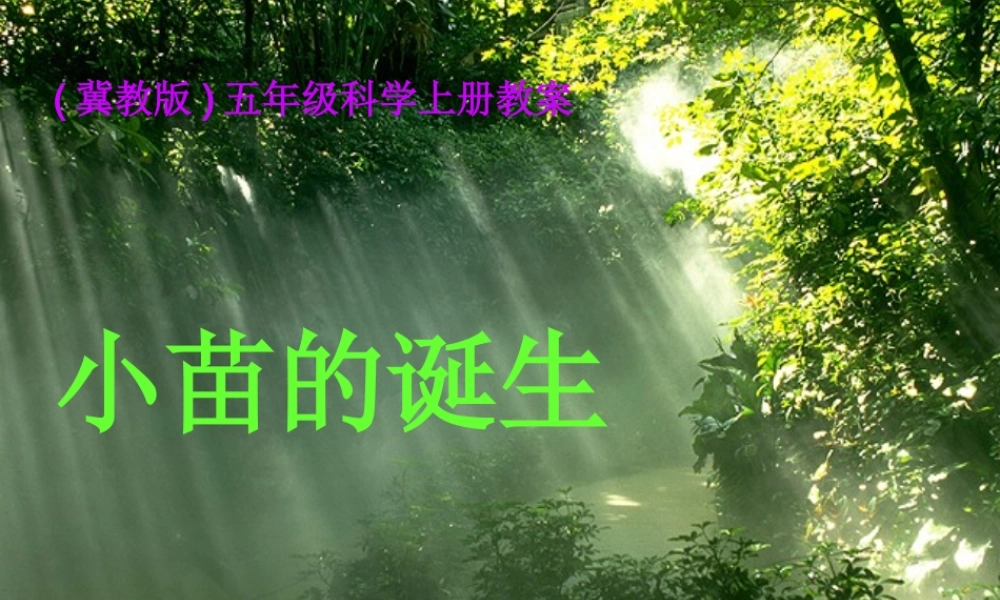 冀教小学科学五上册《1小苗的诞生 》PPT课件.ppt