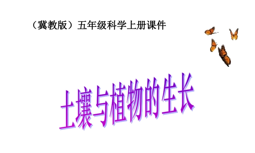 冀教小学科学五上册《2土壤与植物的生长 》PPT课件.ppt