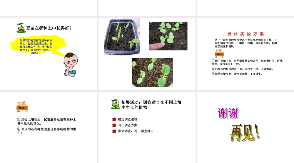 冀教小学科学五上册《2土壤与植物的生长 》PPT课件.ppt