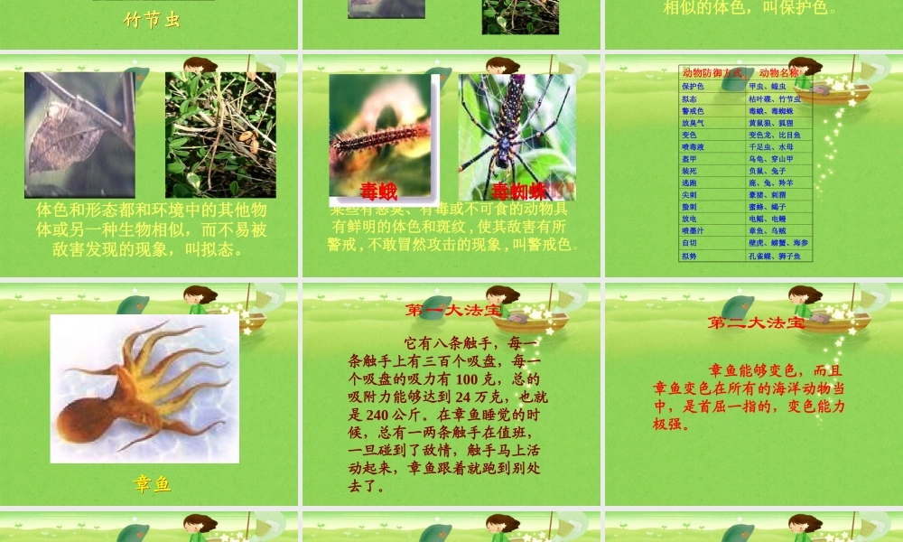 冀教小学科学五上册《9奇妙的护身术 》PPT课件 (1).ppt