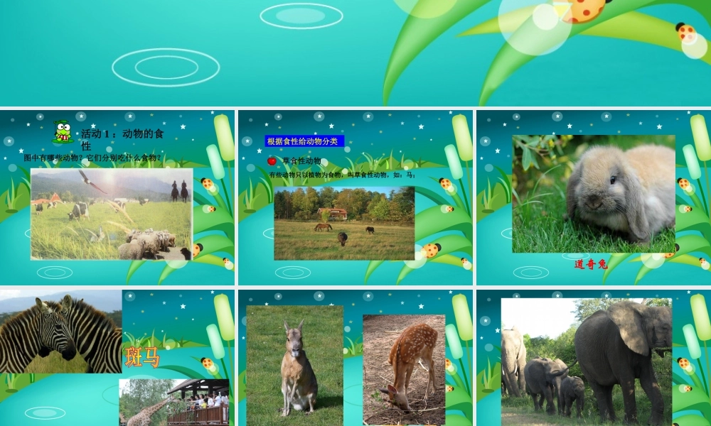 冀教小学科学五上册《5动物的食物 》PPT课件.ppt