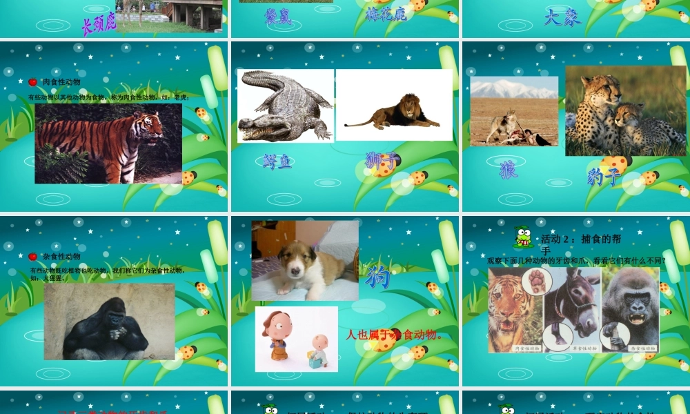 冀教小学科学五上册《5动物的食物 》PPT课件.ppt