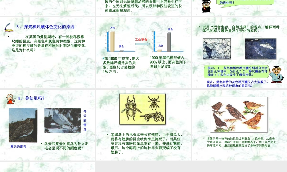 冀教小学科学五下册《12生物进化的秘密》ppt课件.ppt