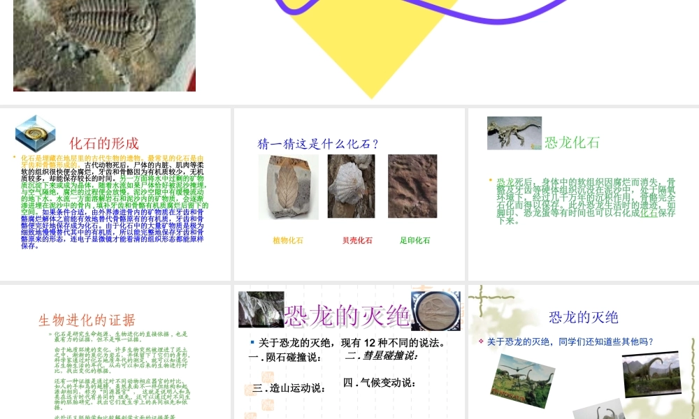 冀教小学科学五下册《11寻找进化的证据》ppt课件 (1) .ppt