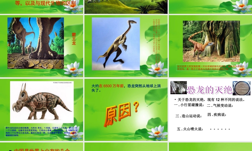 冀教小学科学五下册《11寻找进化的证据》ppt课件 (2) .ppt