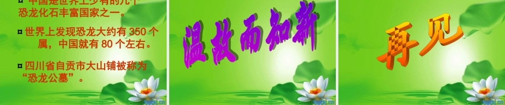 冀教小学科学五下册《11寻找进化的证据》ppt课件 (2) .ppt