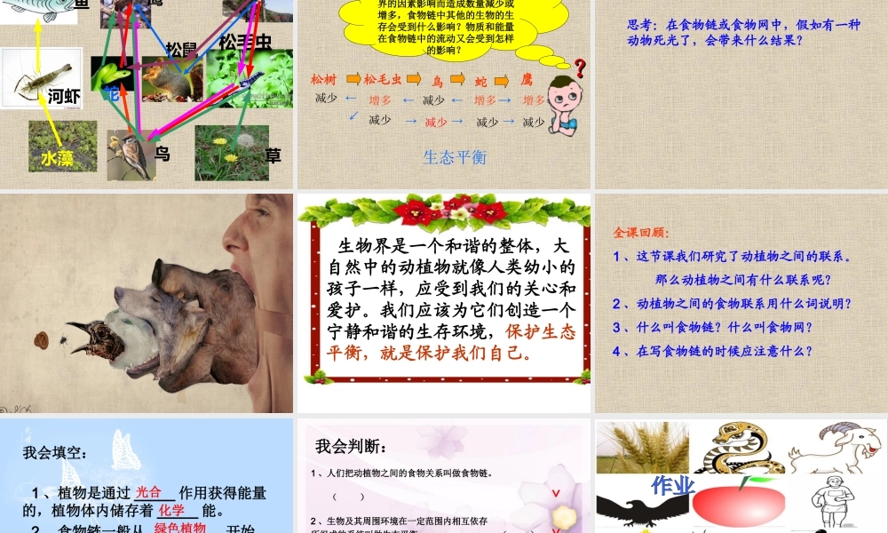 冀教小学科学六上册《10动物与能量》PPT课件.ppt