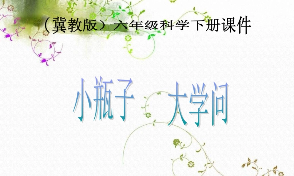 冀教小学科学六下册《11小瓶子大学问》PPT课件 (1).ppt