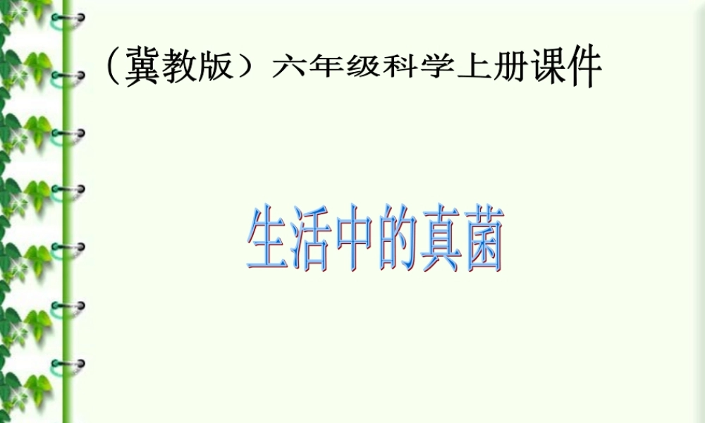 冀教小学科学六上册《6生活中的真菌》PPT课件 (2).ppt