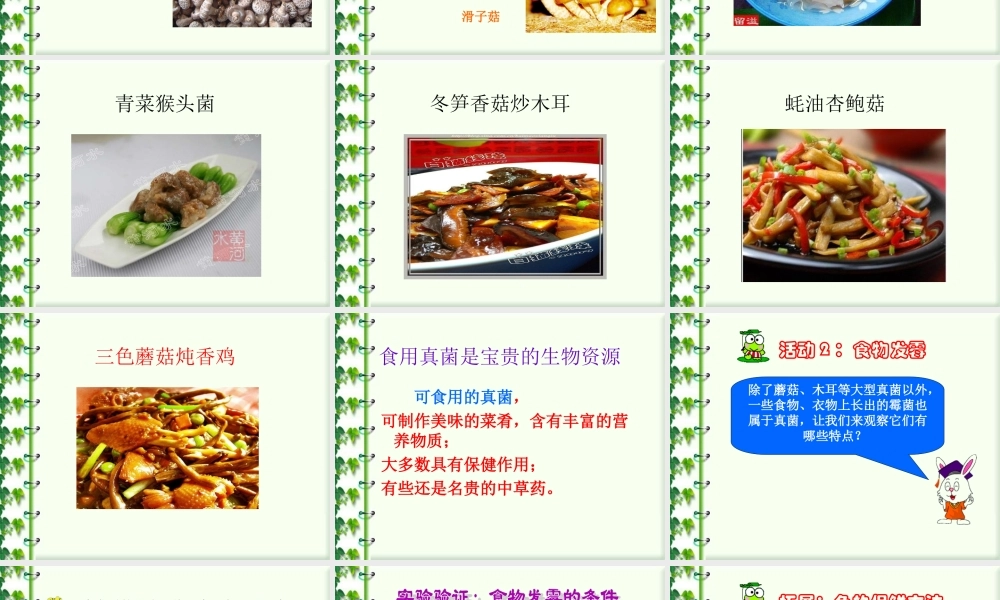 冀教小学科学六上册《6生活中的真菌》PPT课件 (2).ppt