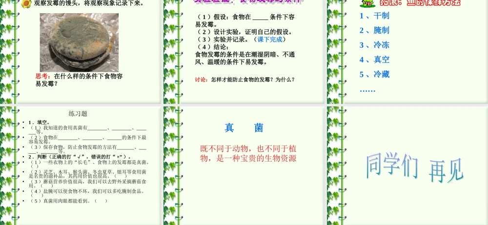冀教小学科学六上册《6生活中的真菌》PPT课件 (2).ppt