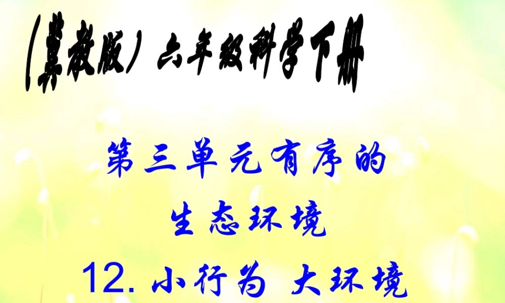 冀教小学科学六下册《12小行为大环境》PPT课件.ppt