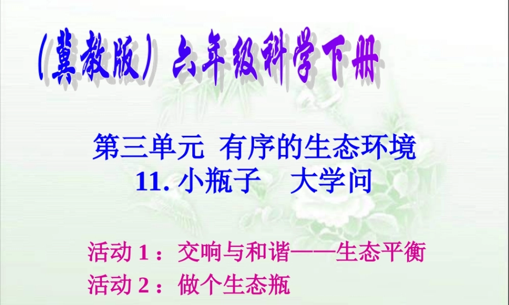 冀教小学科学六下册《11小瓶子大学问》PPT课件 (2).ppt