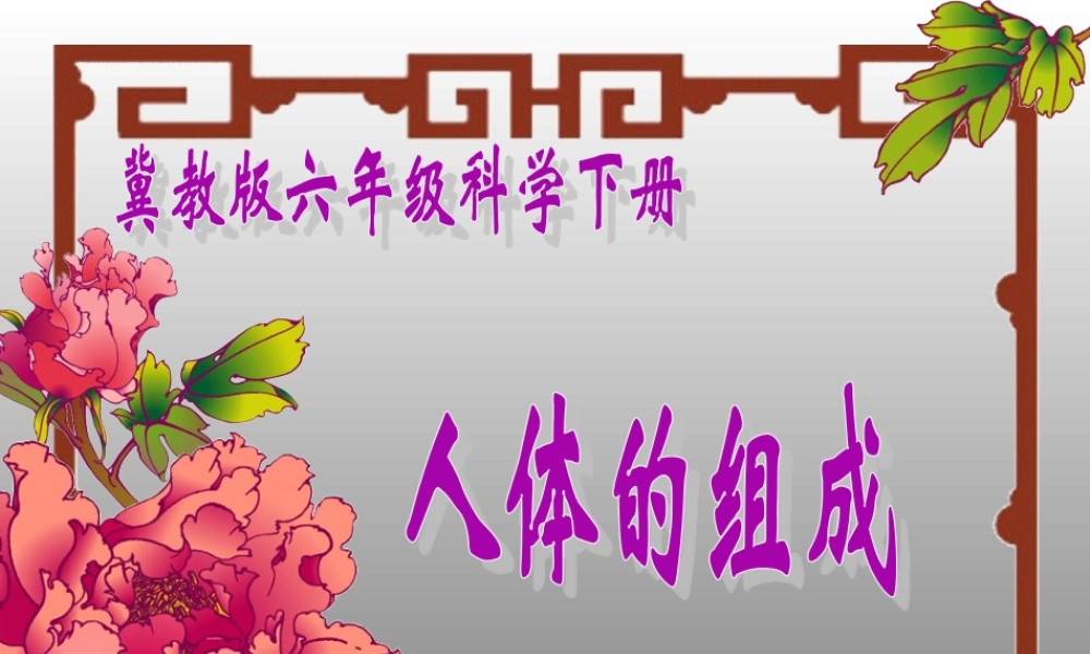 冀教小学科学六下册《4人体的组成》PPT课件 (1) .ppt