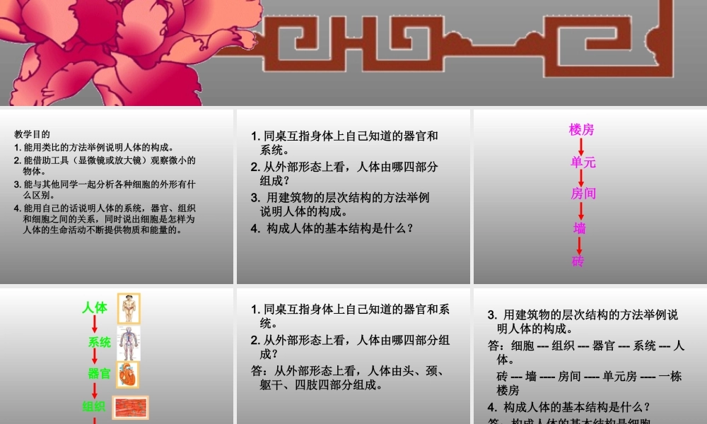 冀教小学科学六下册《4人体的组成》PPT课件 (1) .ppt