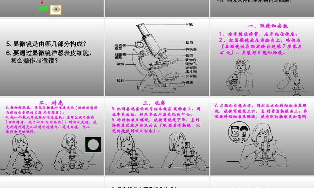 冀教小学科学六下册《4人体的组成》PPT课件 (1) .ppt