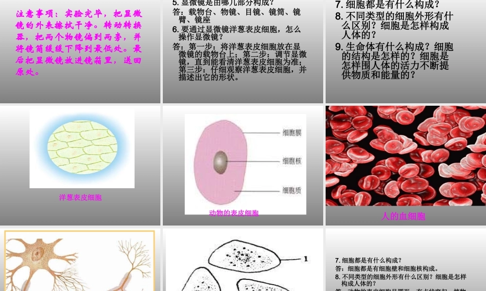 冀教小学科学六下册《4人体的组成》PPT课件 (1) .ppt