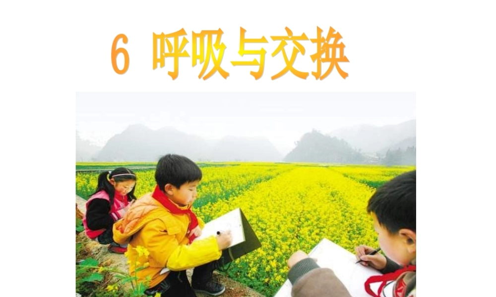 冀教小学科学六下册《6呼吸与交换》PPT课件 (1) .ppt