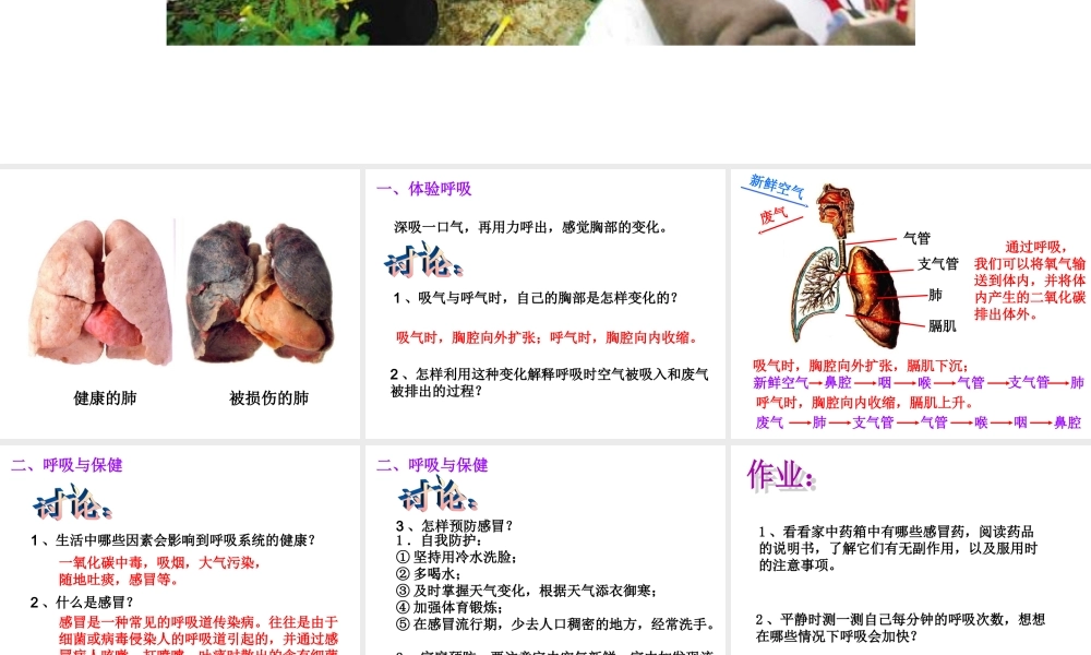 冀教小学科学六下册《6呼吸与交换》PPT课件 (1) .ppt