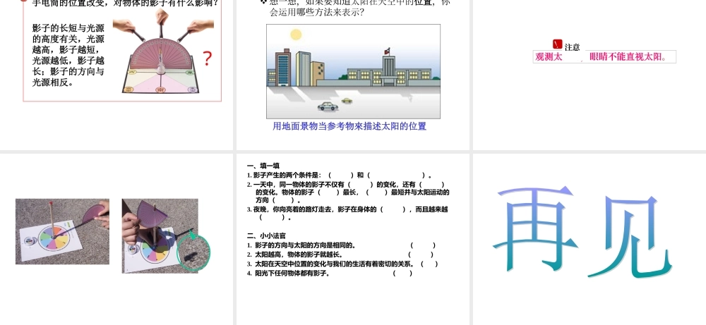 冀教小学科学四上册《13太阳和影子》PPT课件.ppt