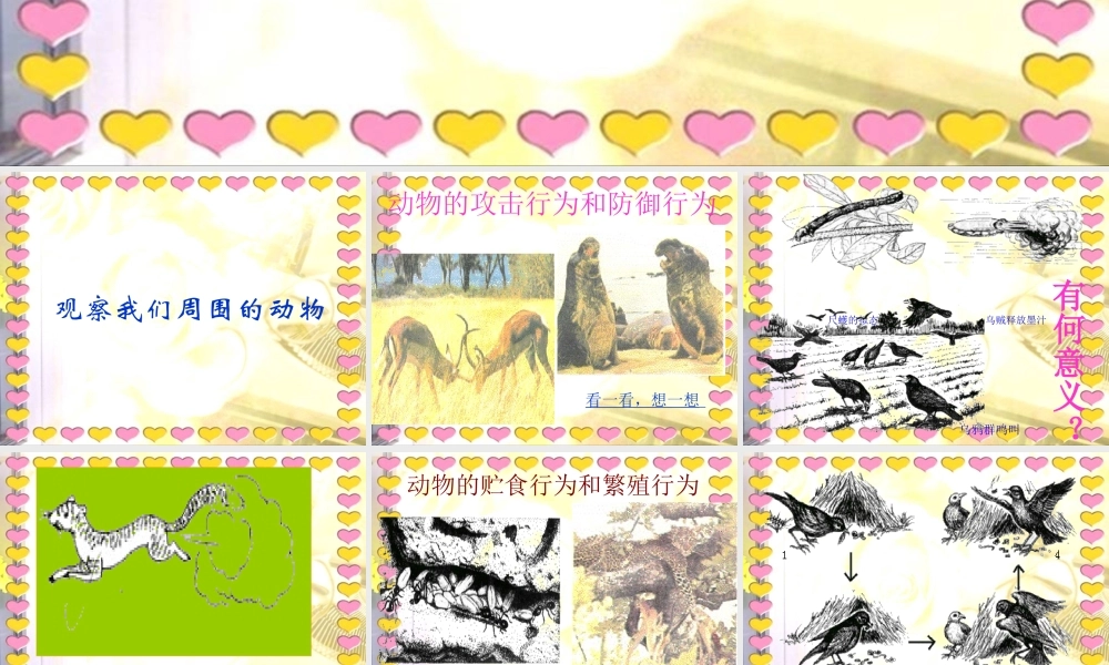 冀教小学科学四下册《10周围的生物 》PPT课件.ppt