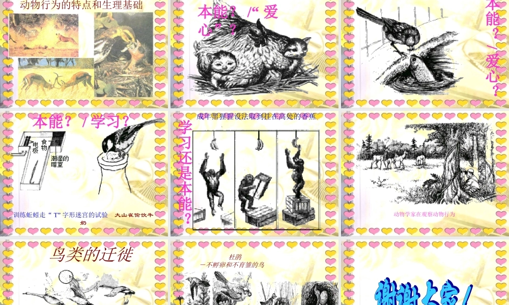 冀教小学科学四下册《10周围的生物 》PPT课件.ppt