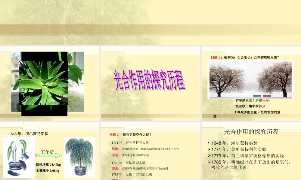 冀教小学科学四下册《12植物的生长 》PPT课件.ppt