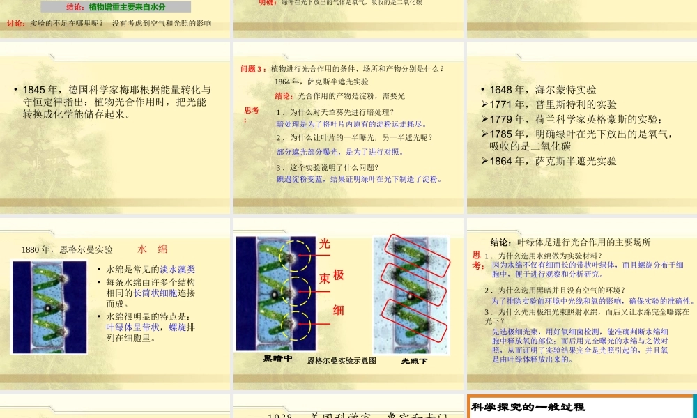 冀教小学科学四下册《12植物的生长 》PPT课件.ppt