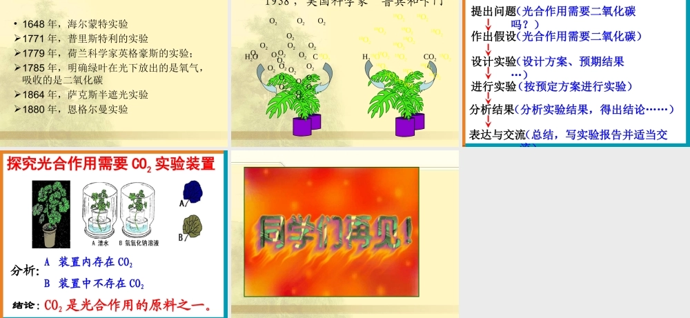 冀教小学科学四下册《12植物的生长 》PPT课件.ppt
