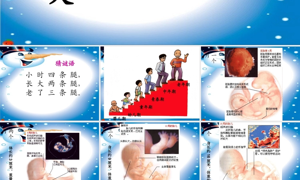 冀教小学科学四下册《16我在长大 》PPT课件 (2).ppt