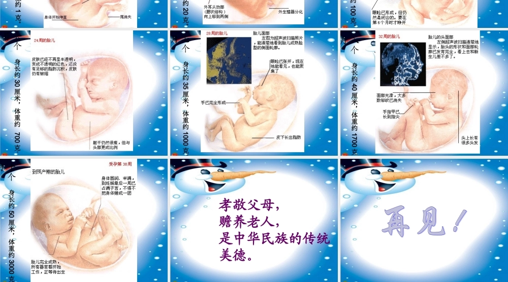 冀教小学科学四下册《16我在长大 》PPT课件 (2).ppt