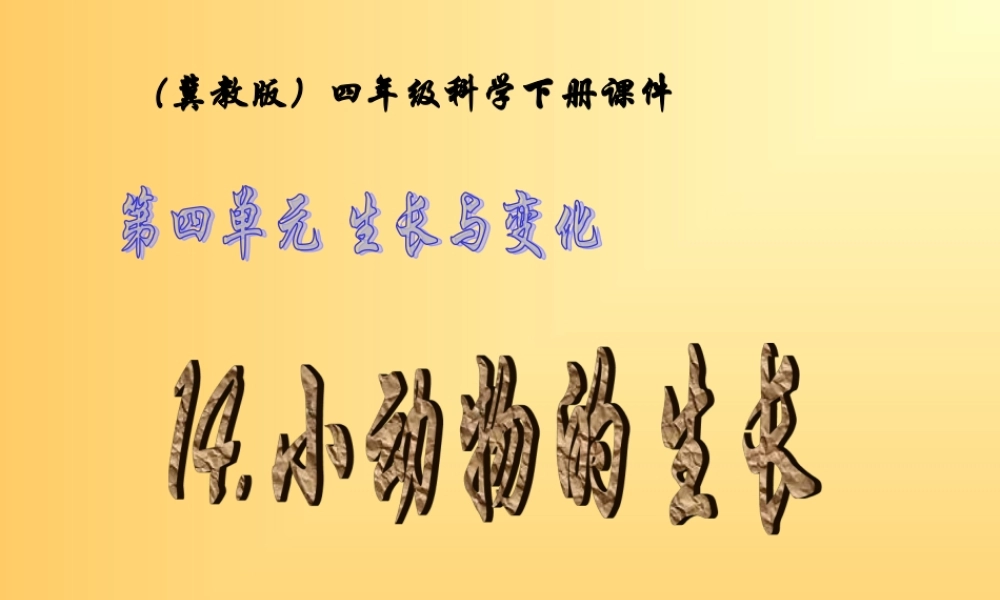 冀教小学科学四下册《14小动物的生长 》PPT课件 (1).ppt