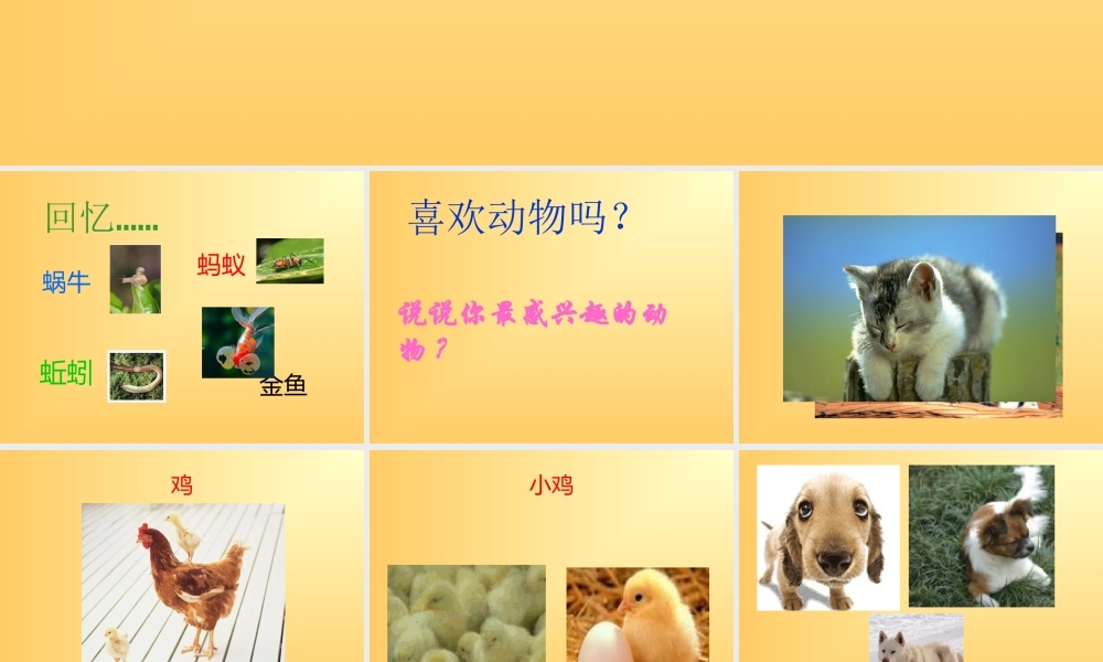 冀教小学科学四下册《14小动物的生长 》PPT课件 (1).ppt