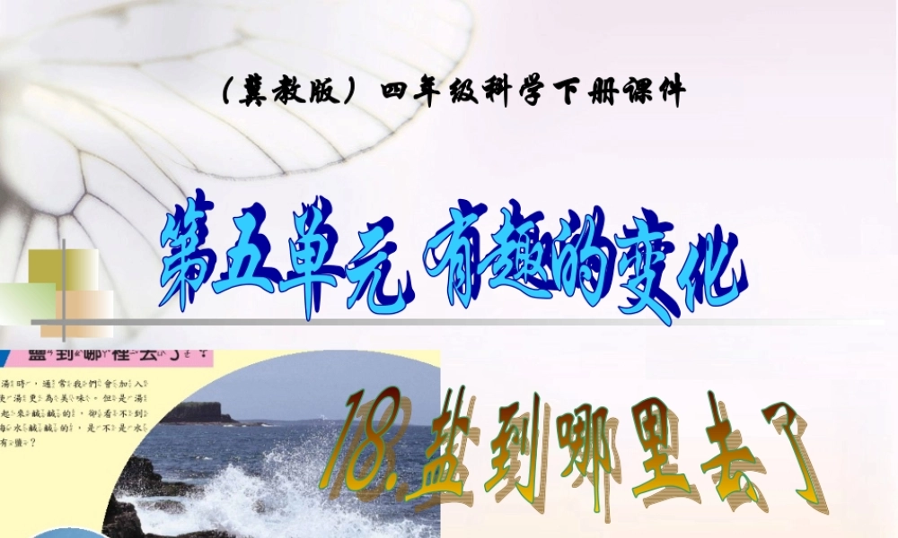 冀教小学科学四下册《18盐到哪里去了 》PPT课件 (1) .ppt