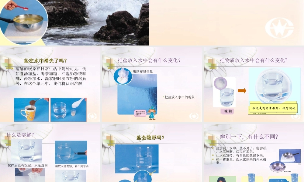 冀教小学科学四下册《18盐到哪里去了 》PPT课件 (1) .ppt