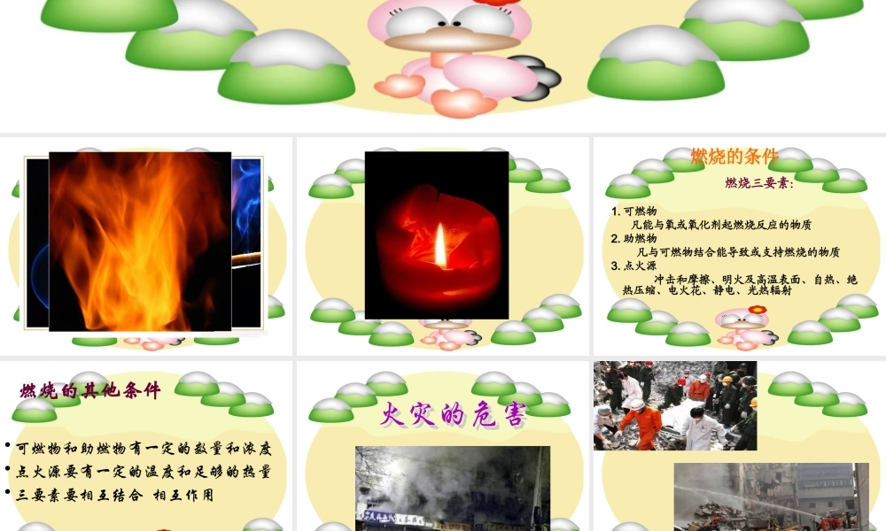 冀教小学科学四下册《20燃烧的秘密 》PPT课件.ppt