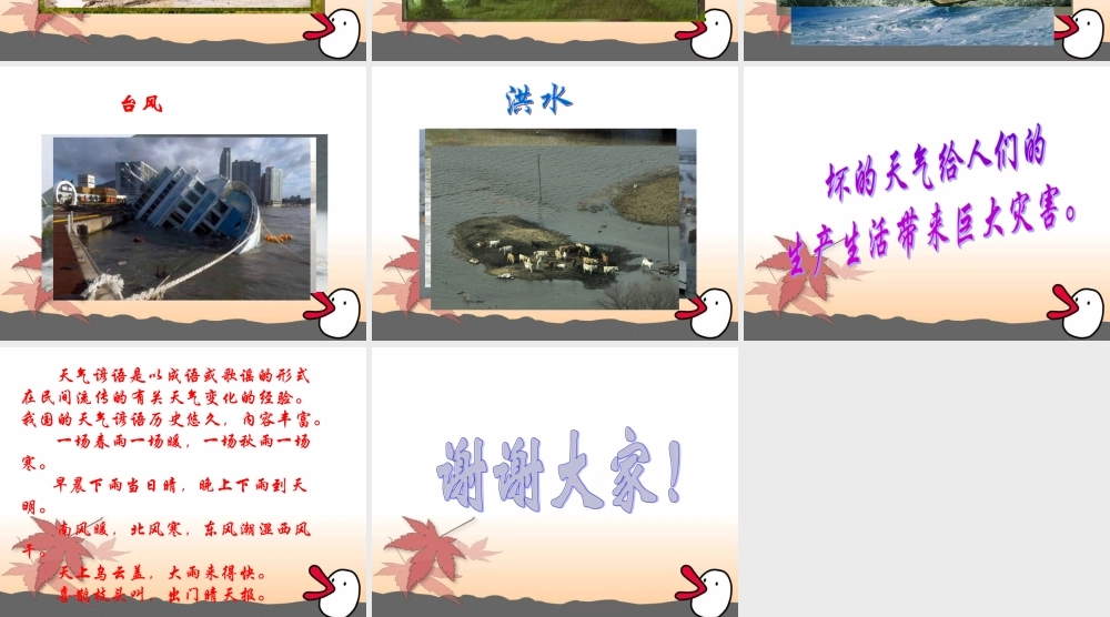 冀教小学科学四下册《5天气与生活 》PPT课件 (1).ppt